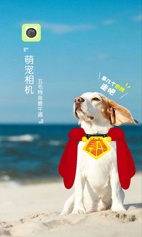 萌宠相机安卓版下载_图片1