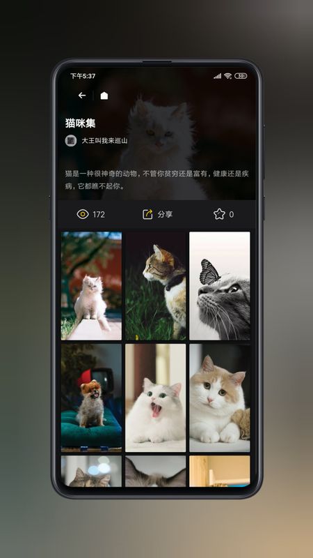 纸塘壁纸_图片2