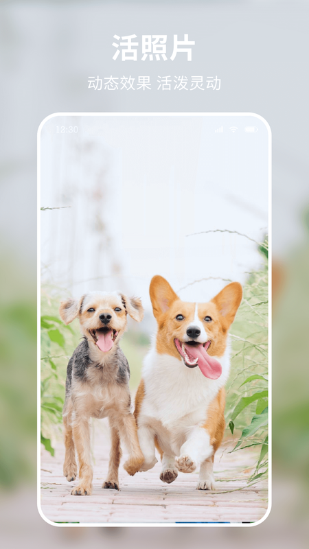 米图_图片5