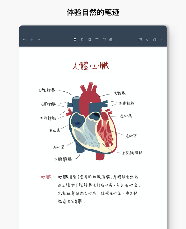 Noteshelf_图片1