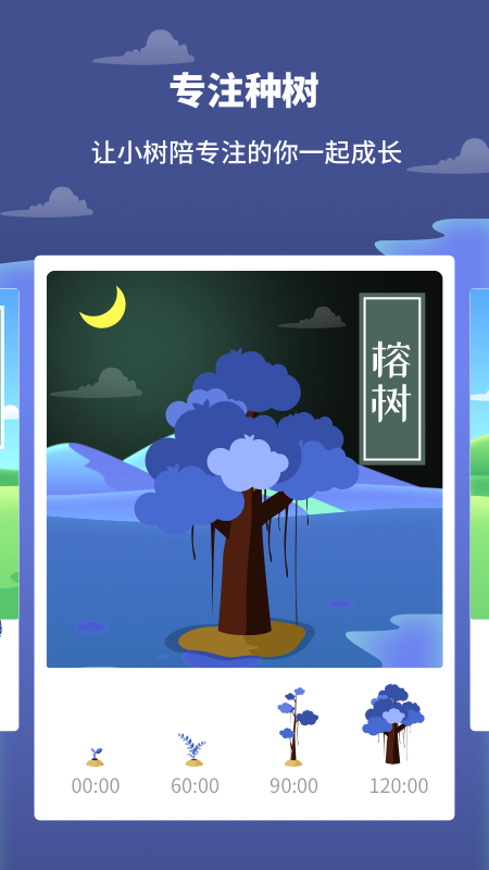 专注树林_图片2