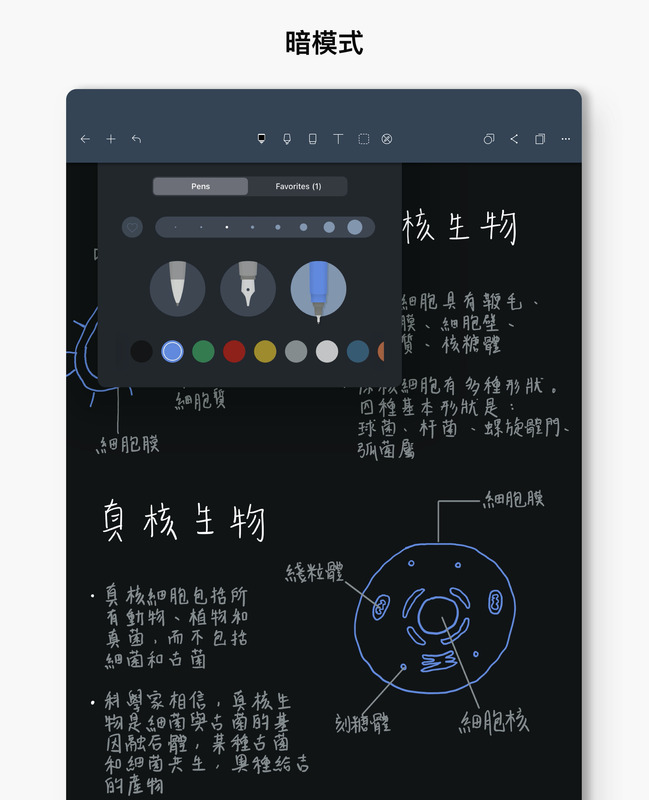 Noteshelf_图片7