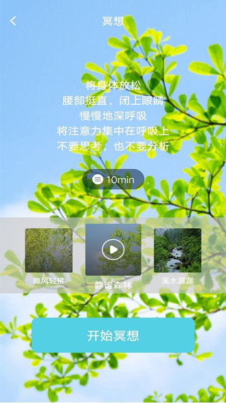 冥想空间_图片2