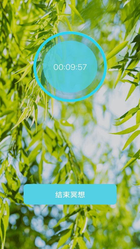 冥想空间_图片3