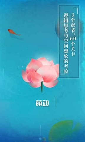 纸莲_图片4