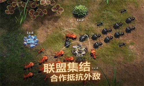 小小蚁国37下载_图片4