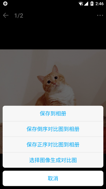 猫咪成长记_图片3