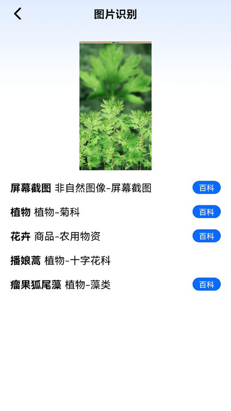 神农百草园识别_图片1