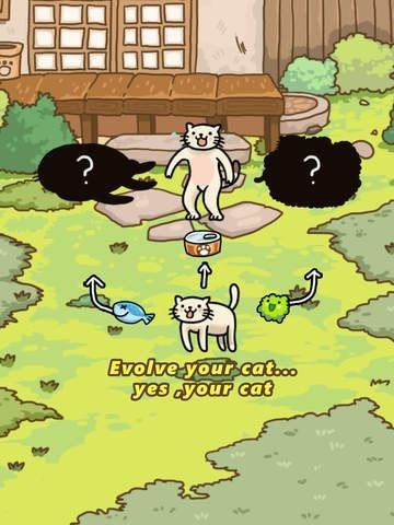 猫的进化世界_图片2