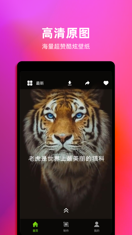Live动态壁纸_图片1