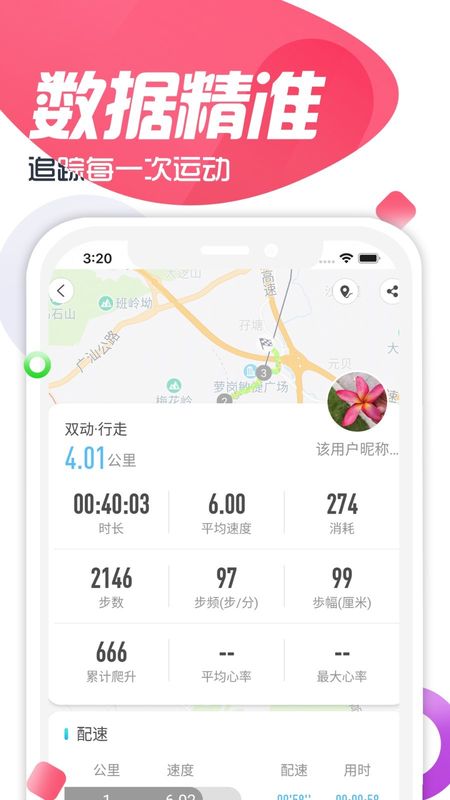 双动_图片4
