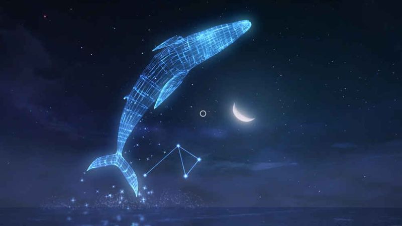 VR微光_图片4