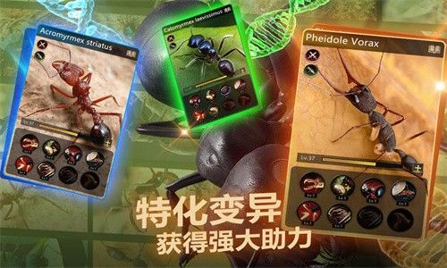 小小蚁国37下载_图片2