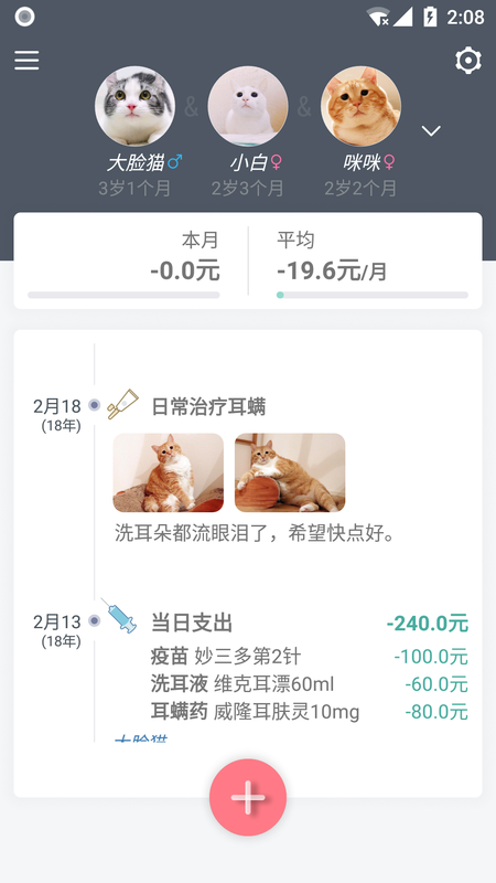 猫咪成长记_图片2