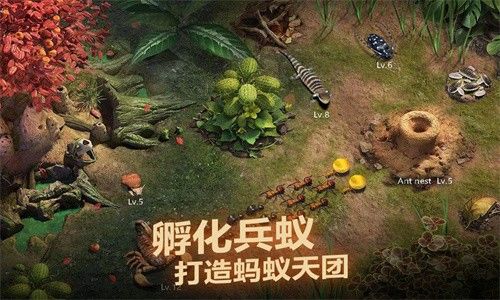 小小蚁国37下载_图片1