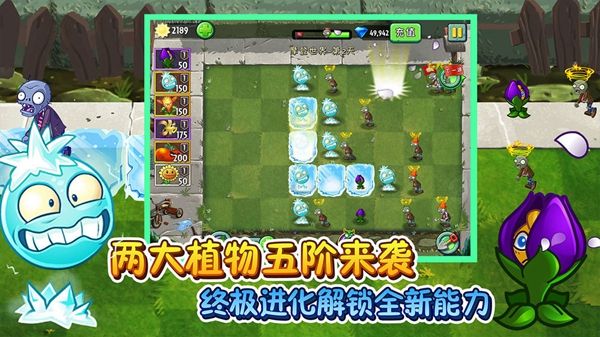 植物大战僵尸2_图片3