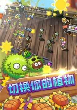 保卫向日葵_图片1