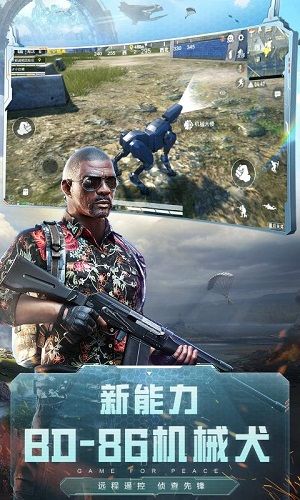 和平精英国际服下载_图片2