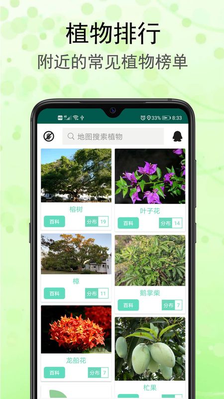 识花草app_图片3