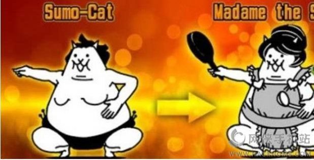 猫咪大战争_图片1