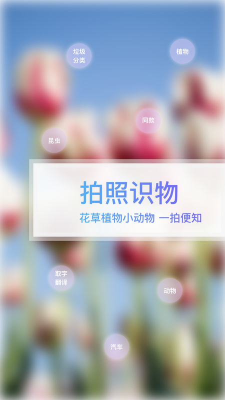 万图拍_图片1