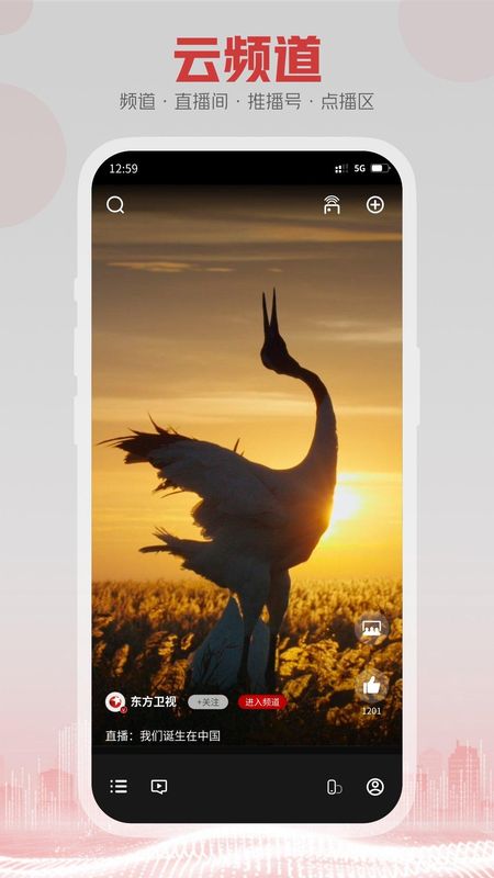 5G云TV下载_图片4