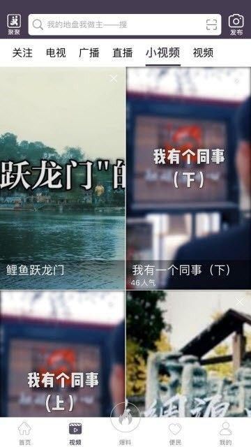 南充见_图片1