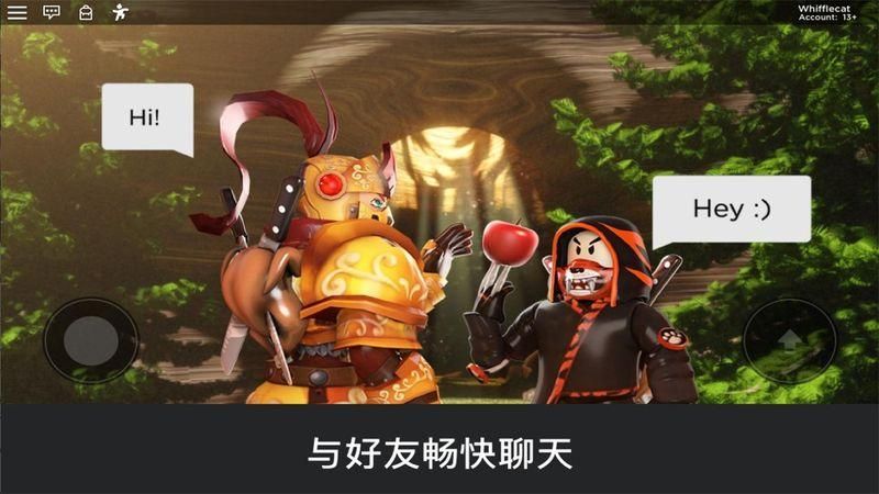 罗布乐思国际服_图片3