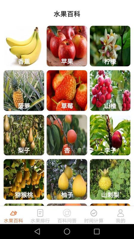 果园看看_图片1