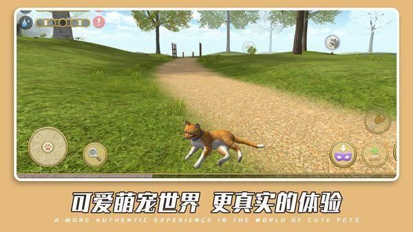 可爱萌宠世界内置菜单_图片5