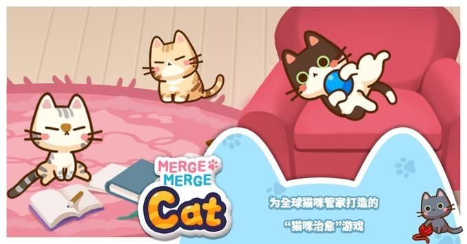合并礼包猫_图片4