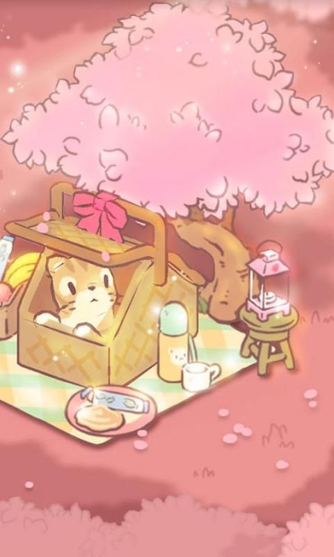 猫和汤_图片2