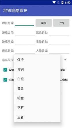 地铁跑酷直充主播同款哥本哈根_图片3