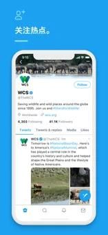 twitter正版下载链接_图片5
