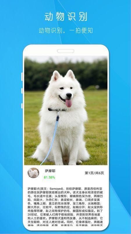 拍照识万物app_图片3