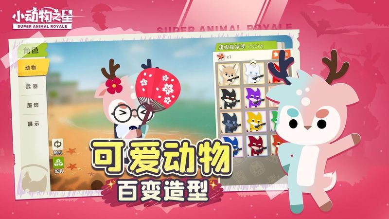 小动物之星_图片2