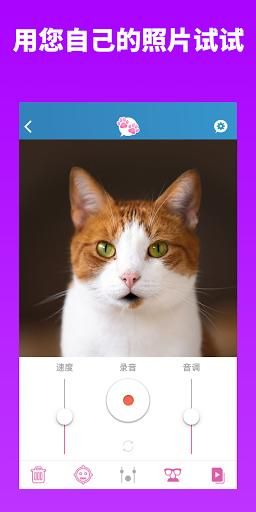 我的宠物会说话手机版_图片2