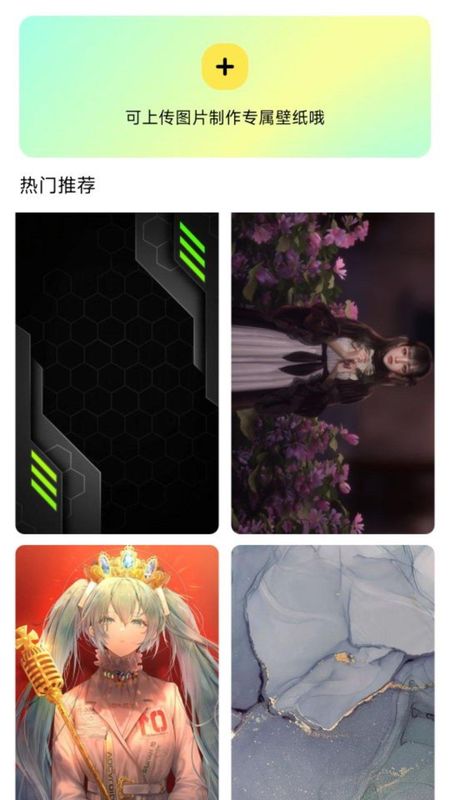 闪秀_图片2