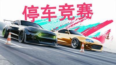 真实泊车2下载安装_图片1