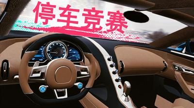 真实泊车2下载安装_图片3