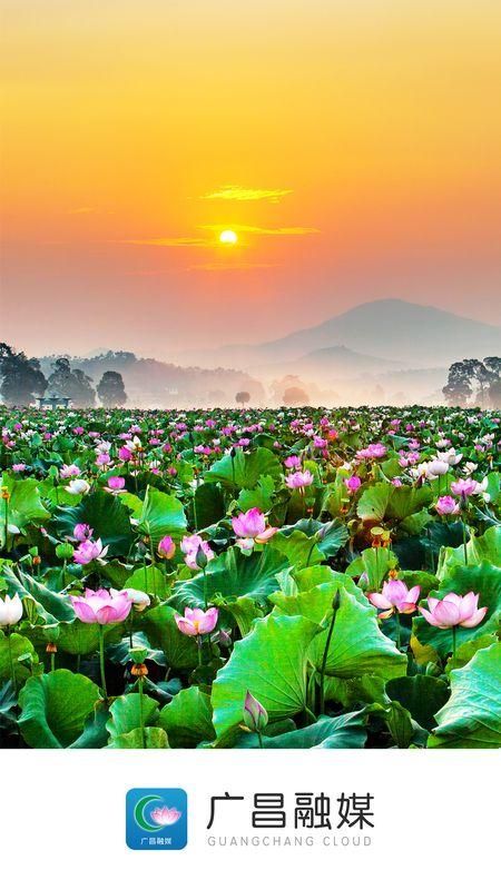广昌融媒_图片1