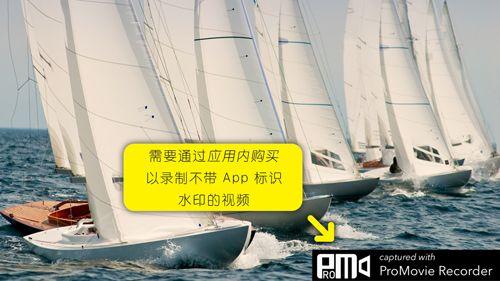 promovie下载安装_图片5