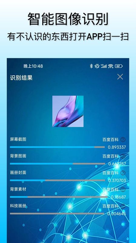 小鲸鱼_图片4