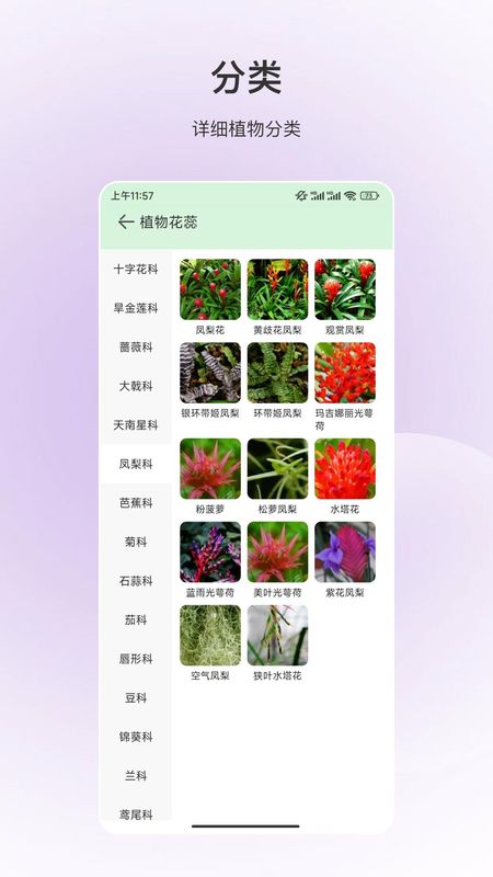 动物识别_图片2