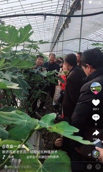 农兜直播带货平台官方版_图片2