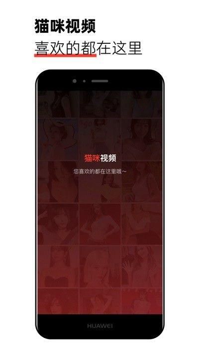 猫咪视频剪辑正版下载_图片4