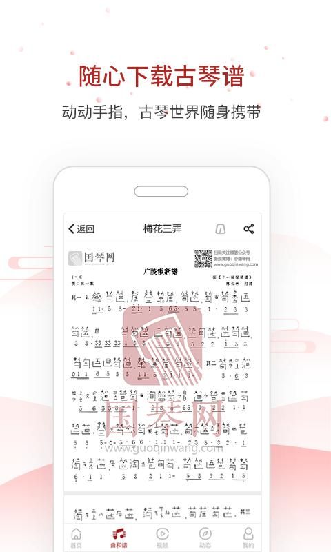 国琴网_图片2