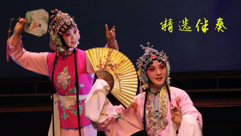 豫剧迷_图片3