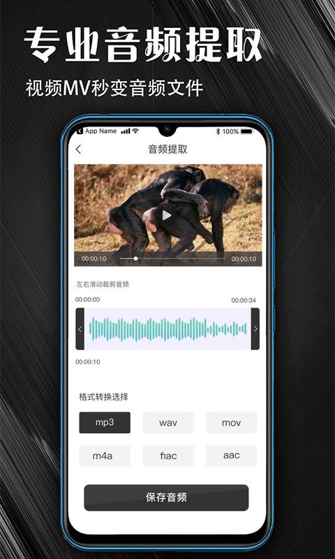 MP3音频提取器_图片1