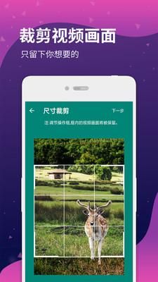 视频提取助手_图片4